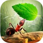 小蚂蚁部落2021年最新游戏安卓版