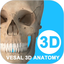 维萨里3d解剖学精简版